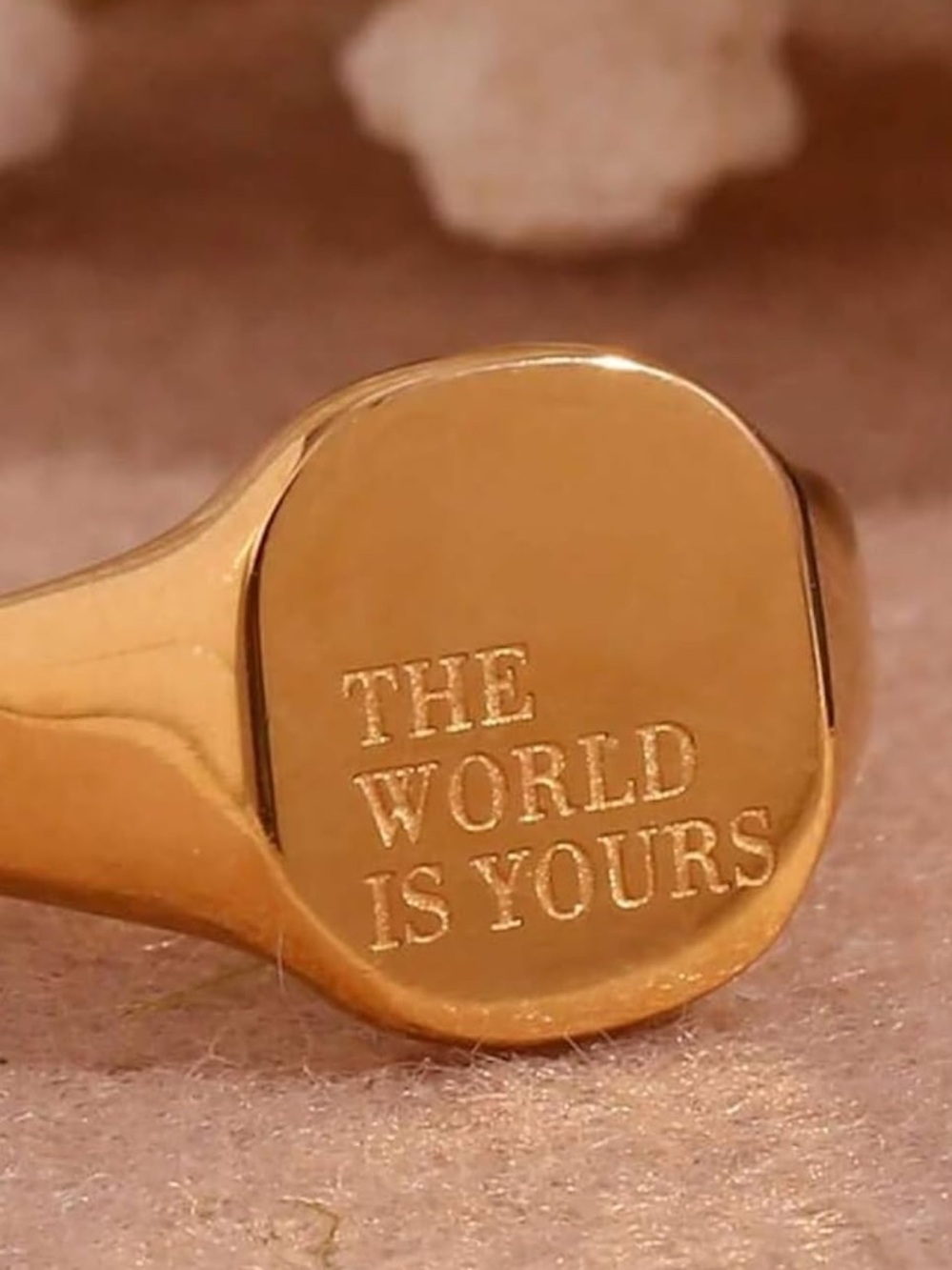 iGold Signet Ring “The World Is Yours” | Statement Pinky Ring | Minimalist Unise